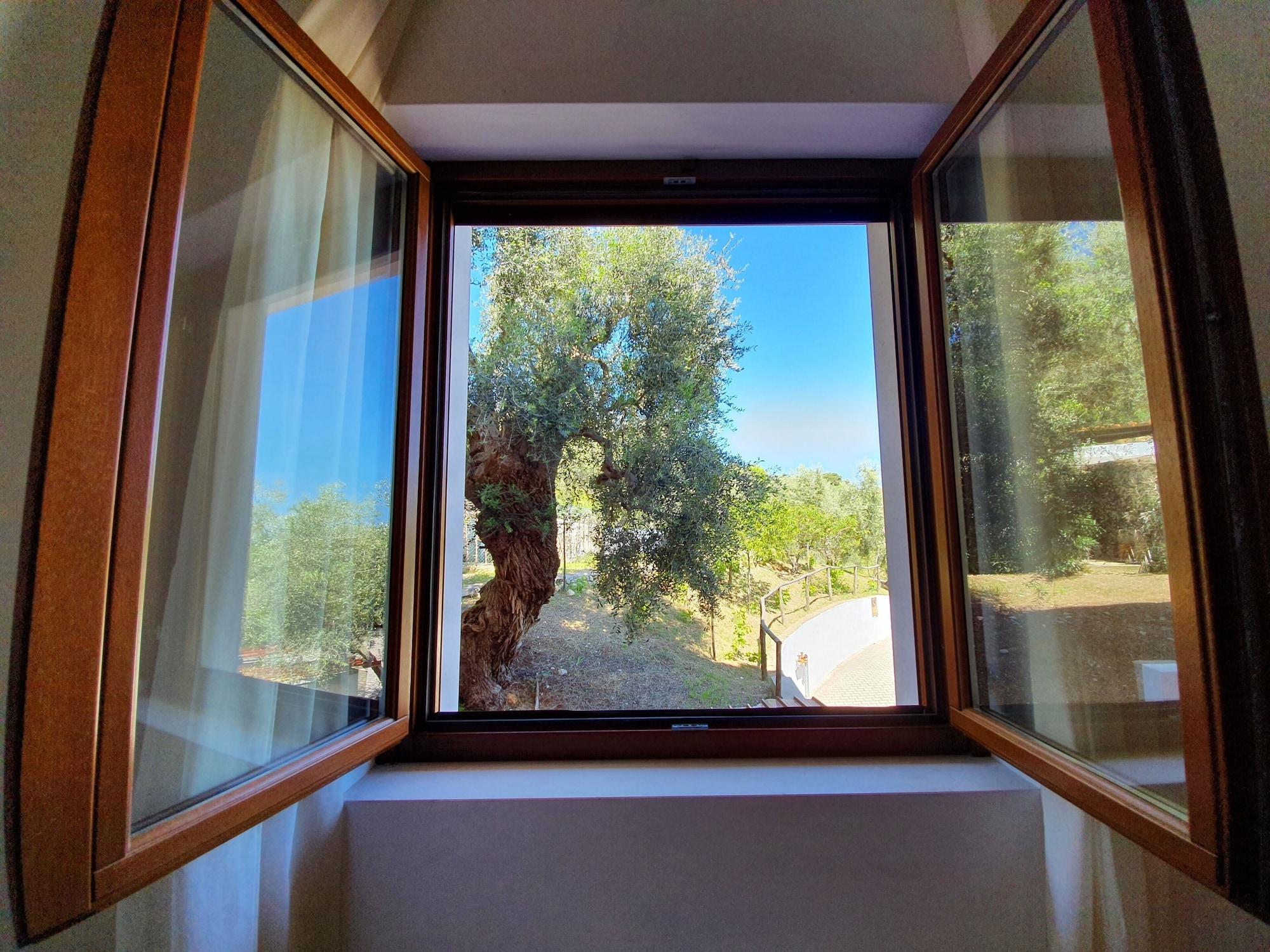Hotel Delle More Βιέστε Εξωτερικό φωτογραφία