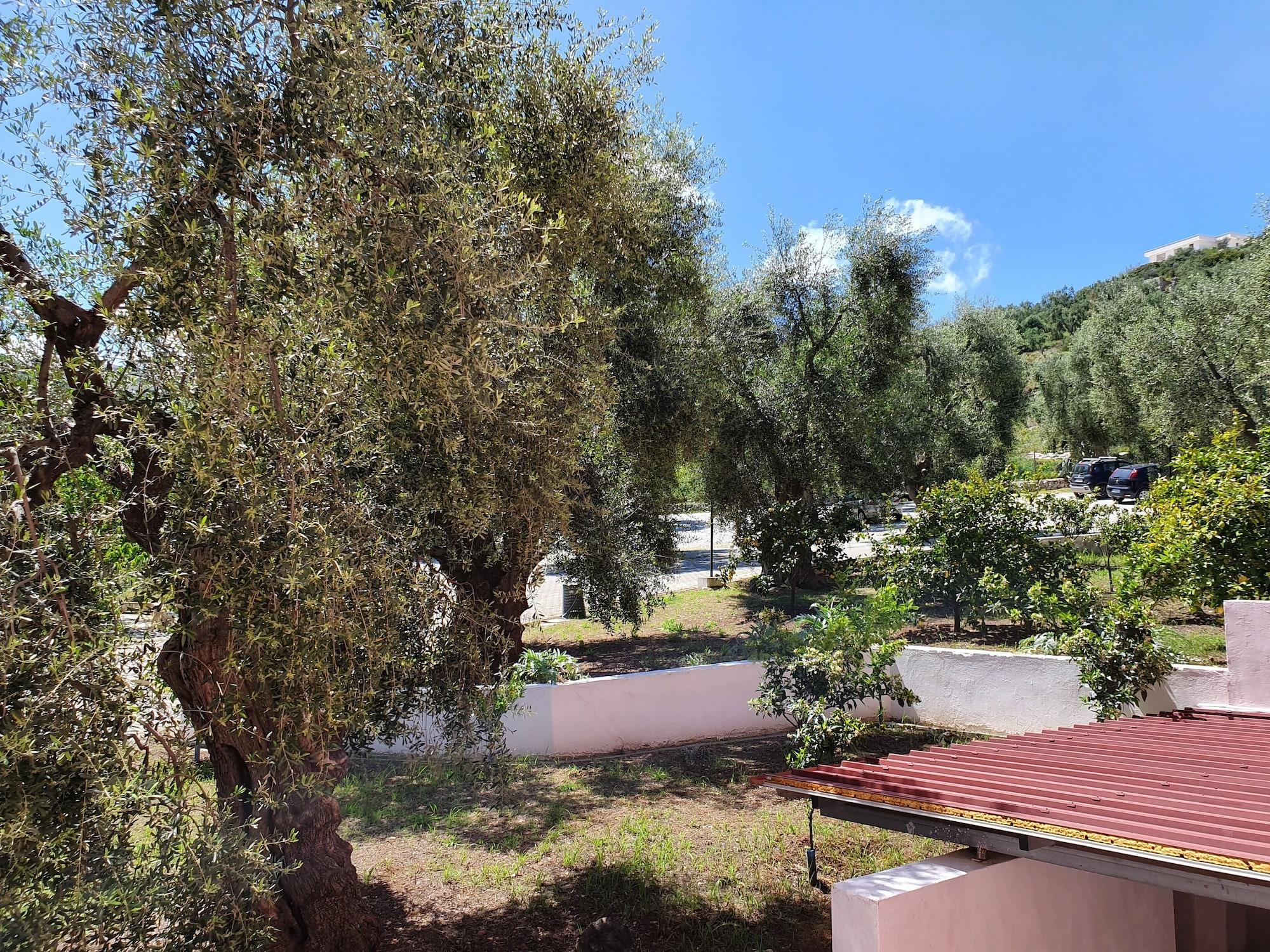 Hotel Delle More Βιέστε Εξωτερικό φωτογραφία
